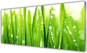 Szkło Ozdobne do Kuchni Szum Polnej Trawy