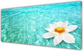 Panel Szklany Kwiat Lotosu na Wodzie