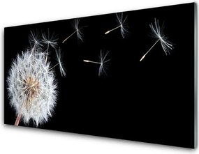 Panel nad blat kuchenny Ulotność Polnego Dmuchawca