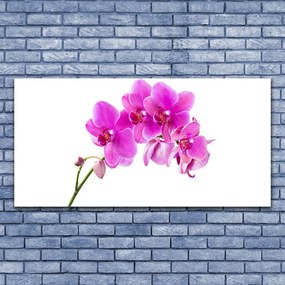 Obraz Canvas Storczyk Kwiat Orchidea