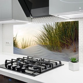 Panel Szklany Wydmy Piaszczyste I Trawy