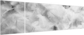 Obraz - Chmury piór (170x50 cm)