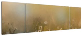 Obraz - Obraz olejny stokrotek (170x50 cm)