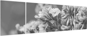 Obraz - Suszone kwiaty (170x50 cm)