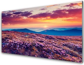 Panel Kuchenny Kwiatowy Dywan U Stóp Gór