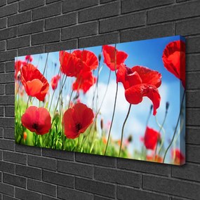 Obraz canvas Czerwone Maki w Polu