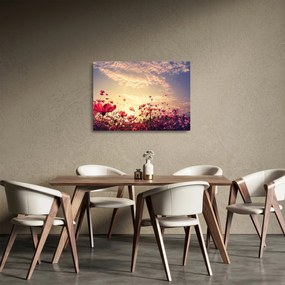 Obraz na szkle - Łąka z kwiatami (70x50 cm)