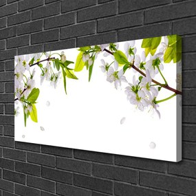 Obraz canvas na ścianę Makro Płatków Kwiatów