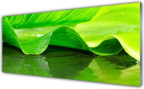 Panel Szklany Makro Struktura Liścia