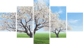 Obraz drzew (125x70 cm)