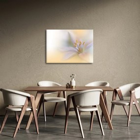 Obraz - Delikatny kwiat (70x50 cm)