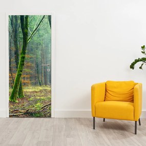 Fototapeta na drzwi - Las (95x205cm)