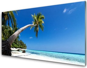 Panel Szklany Rajskie Wybrzeże pod Palmami
