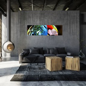 Obraz - Papuga (170x50 cm)
