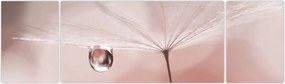 Obraz - Kropla rosy (170x50 cm)