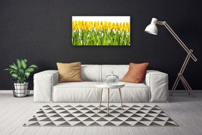 Obraz Canvas Tulipany Kwiaty Natura