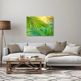 Obraz na szkle - Liście palmowe (70x50 cm)