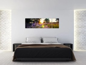 Obraz pola lawendy (170x50 cm)
