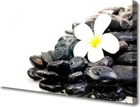 Obraz canvas Harmonia Zen: Kwiaty i Skała