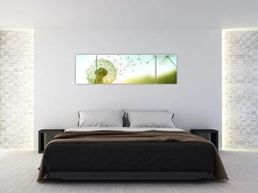 Obraz - Dmuchawiec na wietrze (170x50 cm)