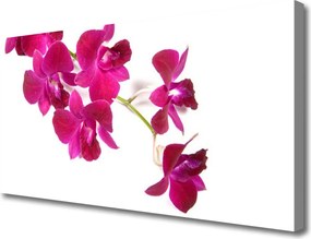 Obraz canvas Wiosenny Powiew Kwiatowy