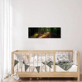 Obraz leśnej ścieżki (z zegarem) (90x30 cm)