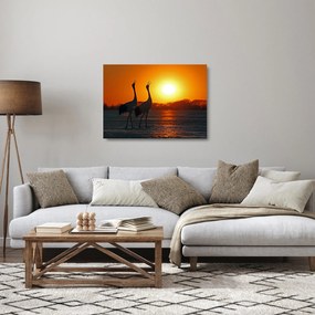 Obraz na szkle ptaków o zachodzie słońca (70x50 cm)