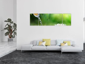 Obraz - Lotos (170x50 cm)