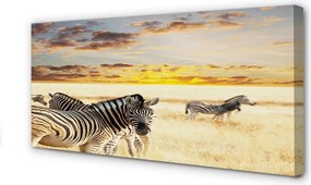 Obraz na płótnie Stado Zebr o Zachodzie Słońca