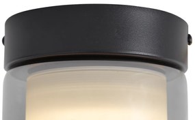 Nowoczesna lampa sufitowa czarna z przydymionym szkłem - Puck