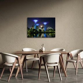Obraz przedstawiający pełnię księżyca w ogrodach Singapuru (70x50 cm)