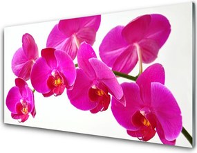 Panel Kuchenny Nowoczesna Grafika Kwiatowa