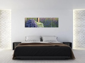 Obraz - Pęczki lawendy (170x50 cm)