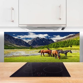 Szkło Dekoracyjne do Kuchni Konie na Górskim Pastwisku