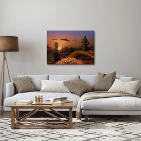 Obraz natury z zachodem słońca (70x50 cm)