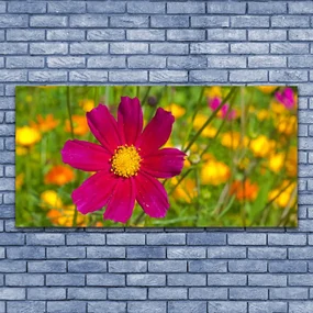 Obraz Canvas Kwiat Roślina Natura