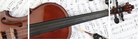 Obraz - Instrumenty muzyczne (170x50 cm)