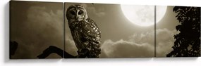 Obraz - Nocna sowa, złoty (170x50 cm)