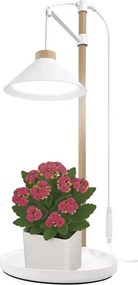 LED Wewnętrzna lampa do uprawy roślin GROW LED/7W/5V