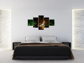 Obraz rzeczy spa (125x70 cm)
