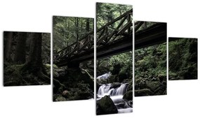 Obraz z czarnego lasu (125x70 cm)