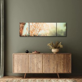 Obraz - Rośliny łąkowe (170x50 cm)