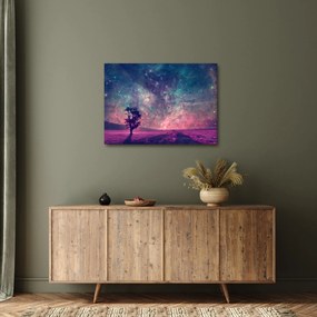 Obraz - Nieziemskie nocne niebo (70x50 cm)