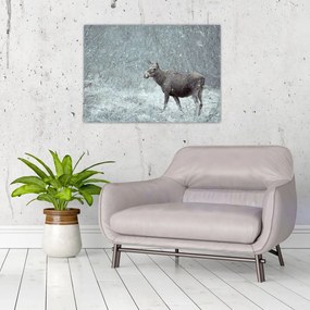 Obraz na szkle - Łoś w śnieżnym lesie (70x50 cm)