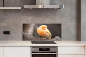 Panel szklany do Kuchni Papuga na Suchej Gałęzi