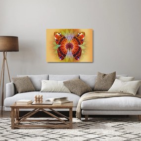 Obraz na szkle - Etno motyl (70x50 cm)