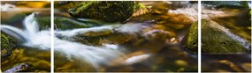 Obraz strumienia (170x50 cm)