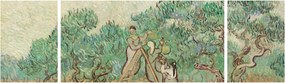 Obraz - Vincent van Gogh, The Olive Orchard, reprodukcje (170x50 cm)