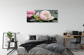 Obraz canvas na ścianę Magnolia i Kamienie