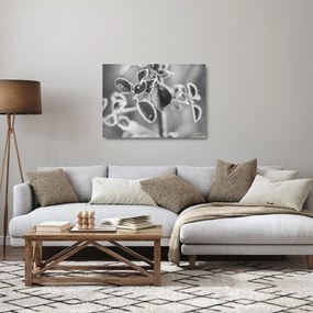 Obraz na szkle - Przyroda jesienią (70x50 cm)